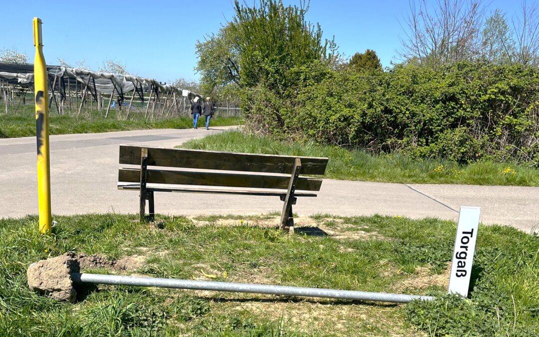 Two people walk along a paved path beside a hedge on a sunny day, with construction debris and a yellow post in the foreground.