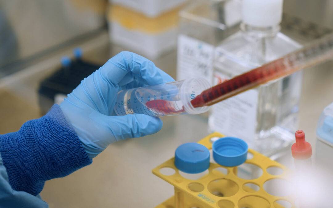 Forschung in Freiburg: Immunzellen schützen sich selbst