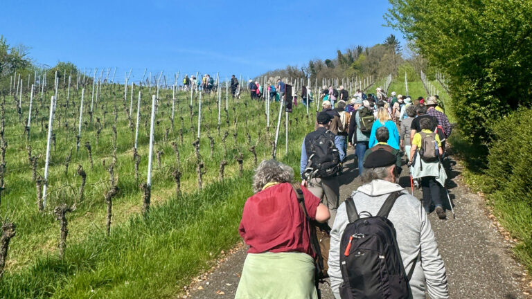 Bannwanderung in Weil am Rhein begeistert Teilnehmer