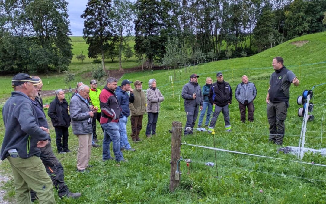 Group of adults standing in a green field, listening to a man giving a talk near a wire fence.