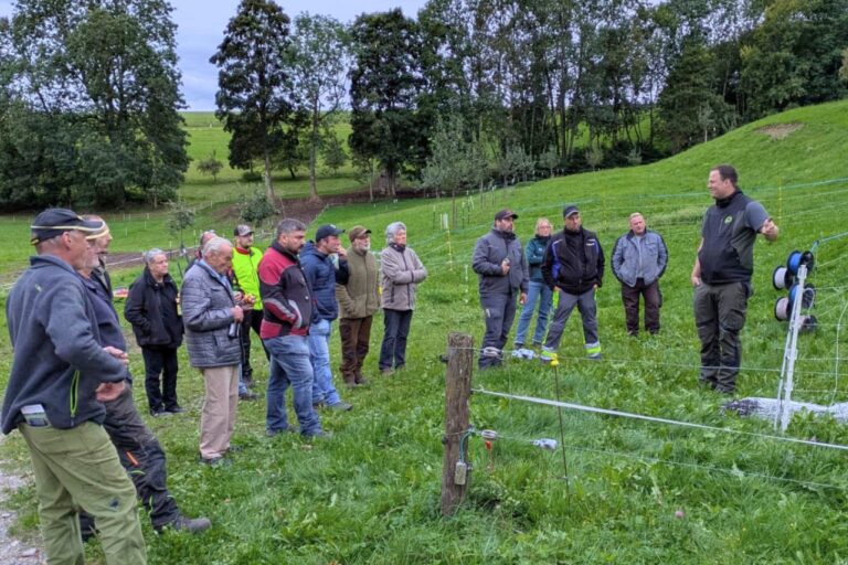 Group of adults standing in a green field, listening to a man giving a talk near a wire fence.