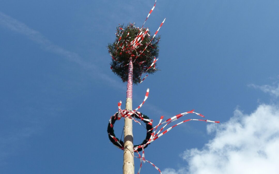 Tall wooden maypole adorned with greenery and red-and-white ribbons fluttering in the wind against a clear blue sky