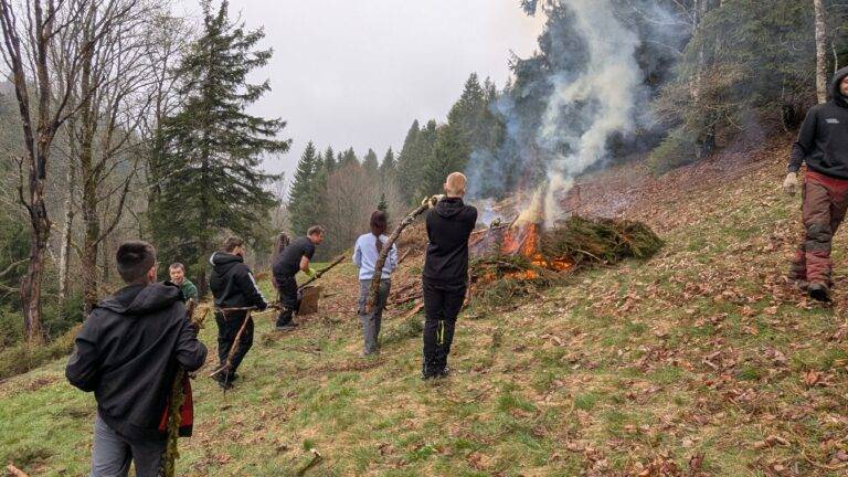 Group of people clearing a hillside forest, carrying branches toward a large burning brush pile with smoke rising.
