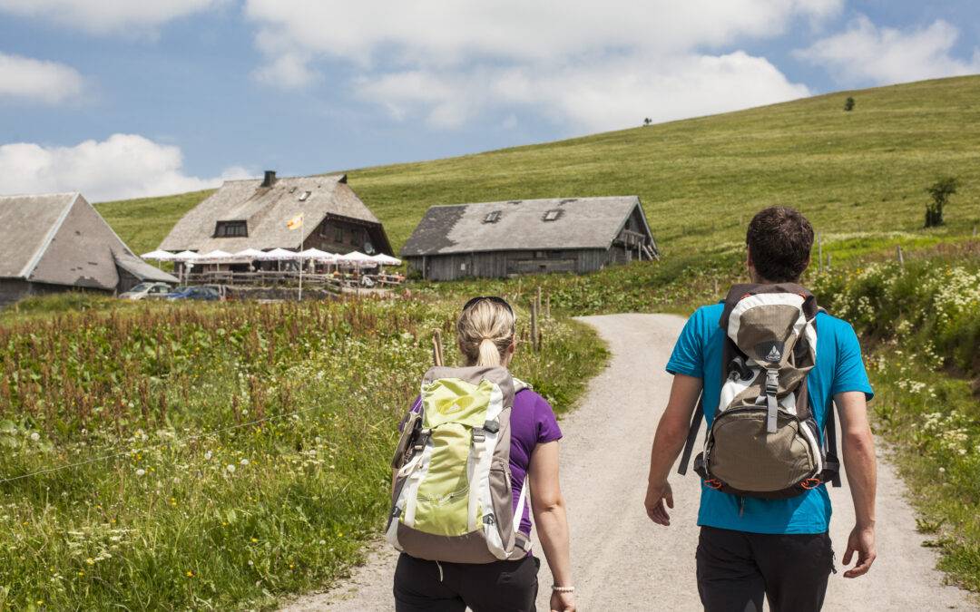 Two hikers with backpacks walk along a dirt path toward rustic farm buildings in a meadow under a blue sky.