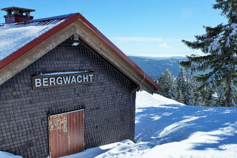 Snowy alpine hut with brown shingles, red door, and 'BERGWACHT' sign against a blue sky and pine trees nearby.