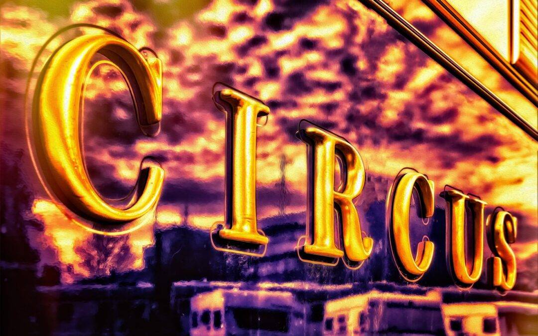 Circus Peppino kämpft nach Unfall ums Überleben