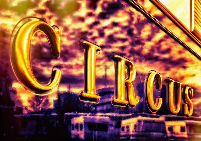 Circus Peppino kämpft nach Unfall ums Überleben