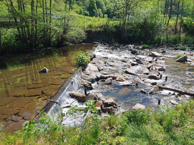 Shallow rocky stream with small waterfall and lush green banks, trees in the background on a sunny day.