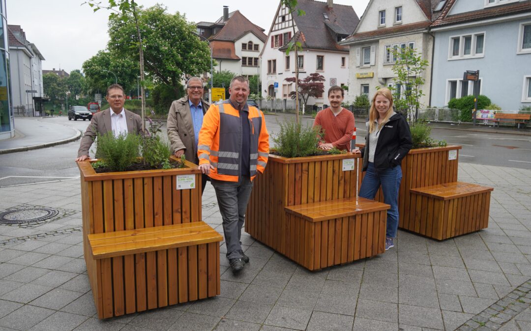 Pflanzkisten in Rheinfelden: Mehr Grün in Innenstadt