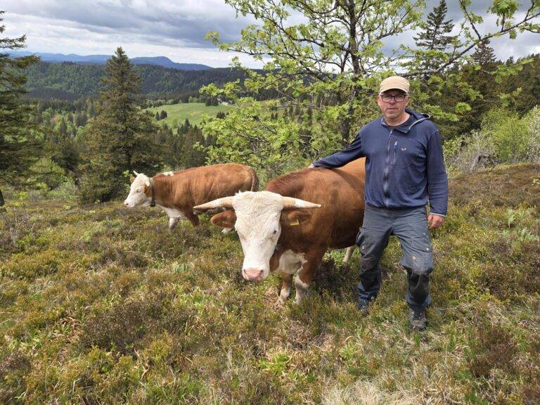 Man wearing a beige cap and glasses, blue zip-up jacket, standing in a grassy hillside with brown and white cows nearby. The background shows trees and distant mountains.
