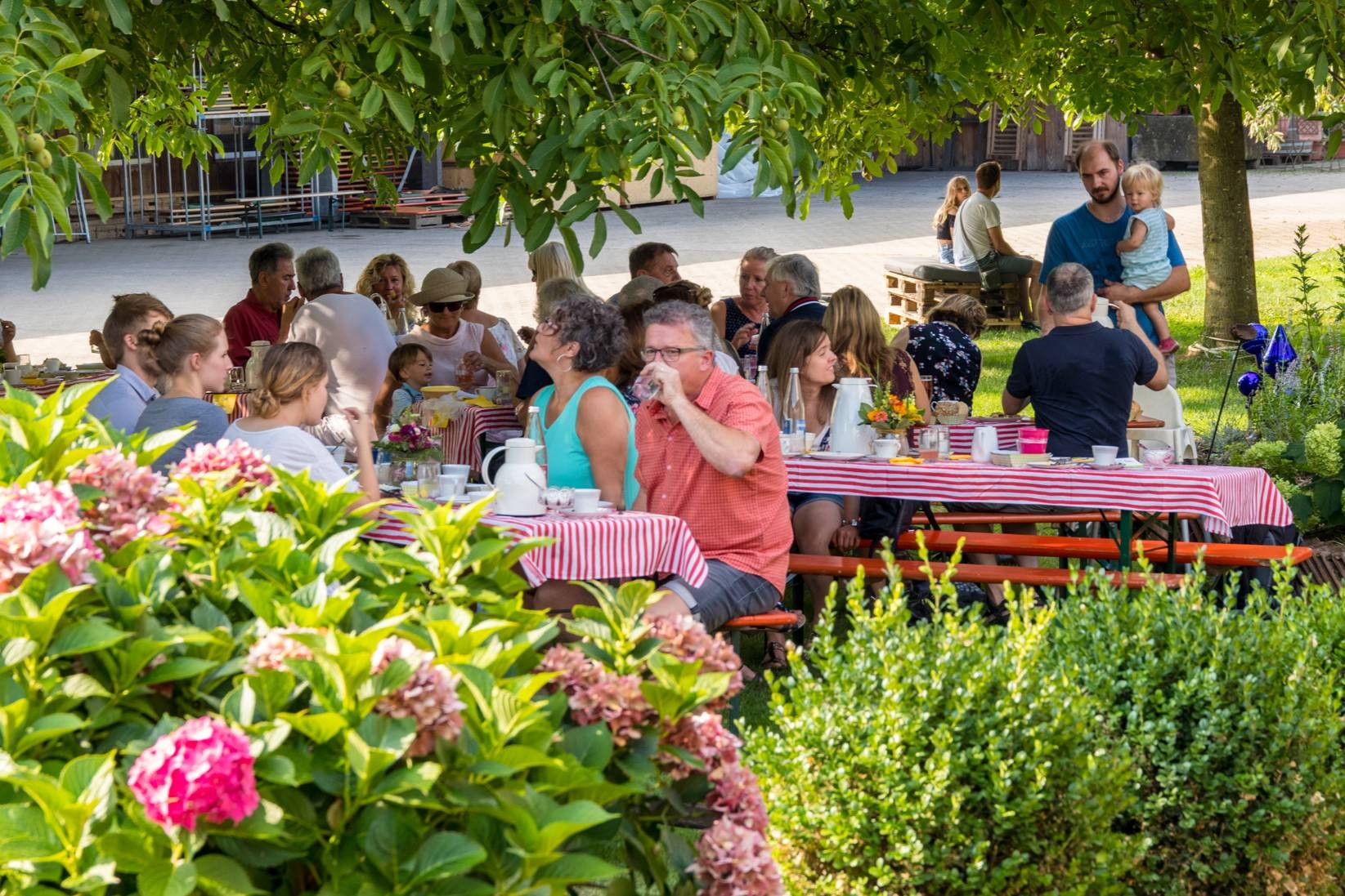 Group of people eating at long picnic tables with red-and-white striped tablecloths under a leafy tree; flowers in foreground suggest a garden party.
