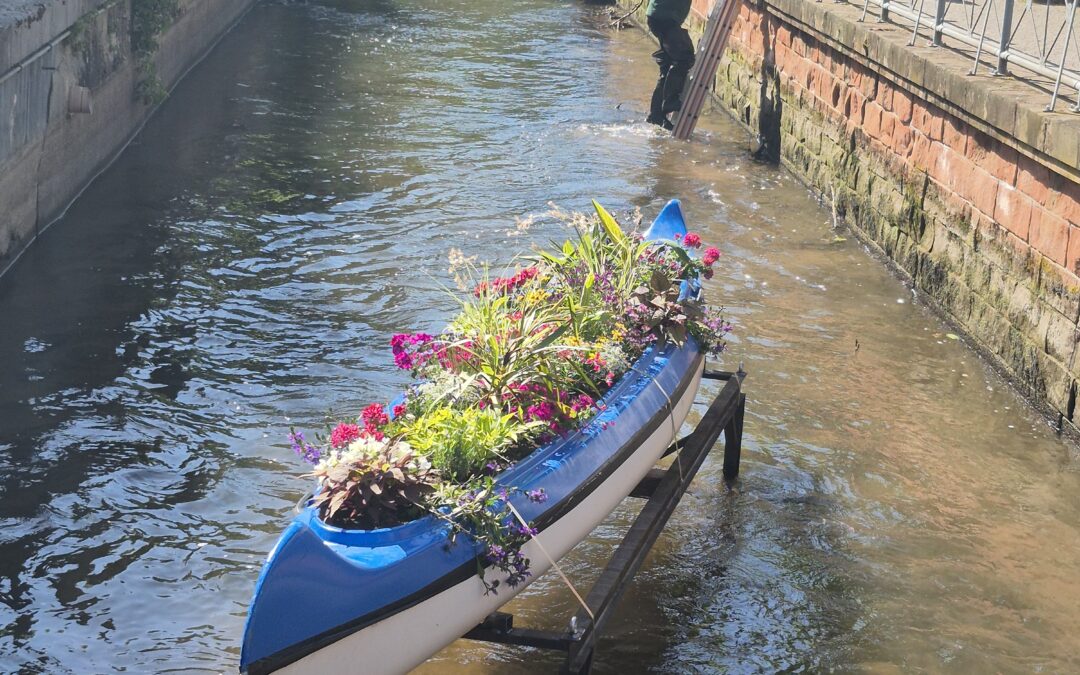 Ein XXL-Bächleboot schwimmt jetzt in Emmendingen im Mühlbach