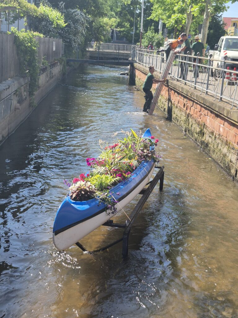 Flower-filled blue and white boat in a canal, supported by a stand, with men on the railing helping at the water's edge on a sunny day