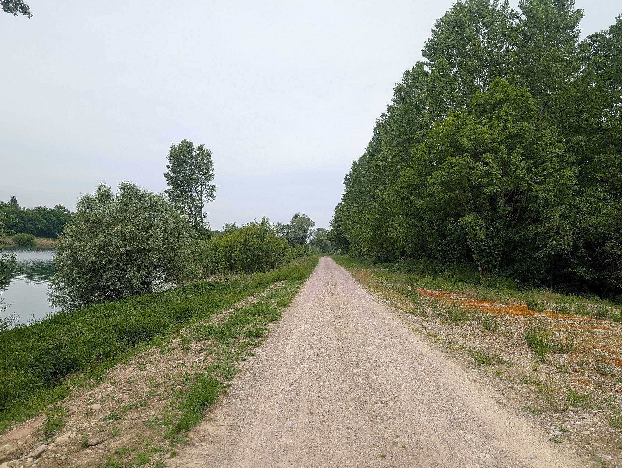 Gravel path along a lake bordered by green trees on both sides under a clear sky, calm and inviting for a walk