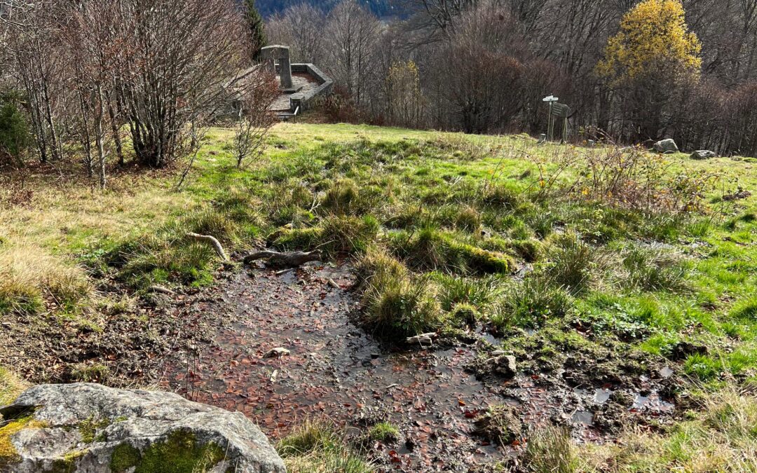 Meadow hillside with bare trees, a small stone terrace, and distant forested mountains under a blue sky with wispy clouds; autumn leaves on the ground and a muddy path in the foreground.