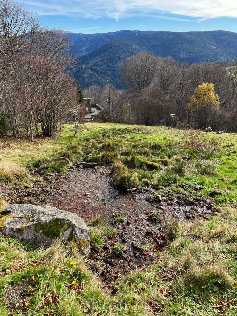 Meadow hillside with bare trees, a small stone terrace, and distant forested mountains under a blue sky with wispy clouds; autumn leaves on the ground and a muddy path in the foreground.