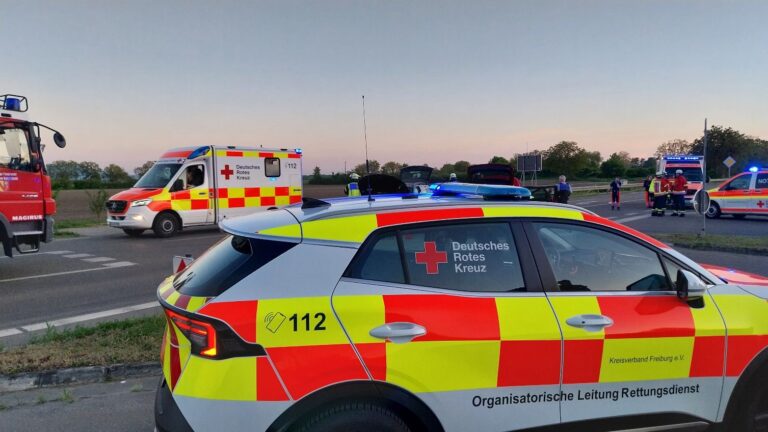 Emergency responders and multiple ambulances on a highway at dusk, German Red Cross cars with bright yellow-red markings in view.