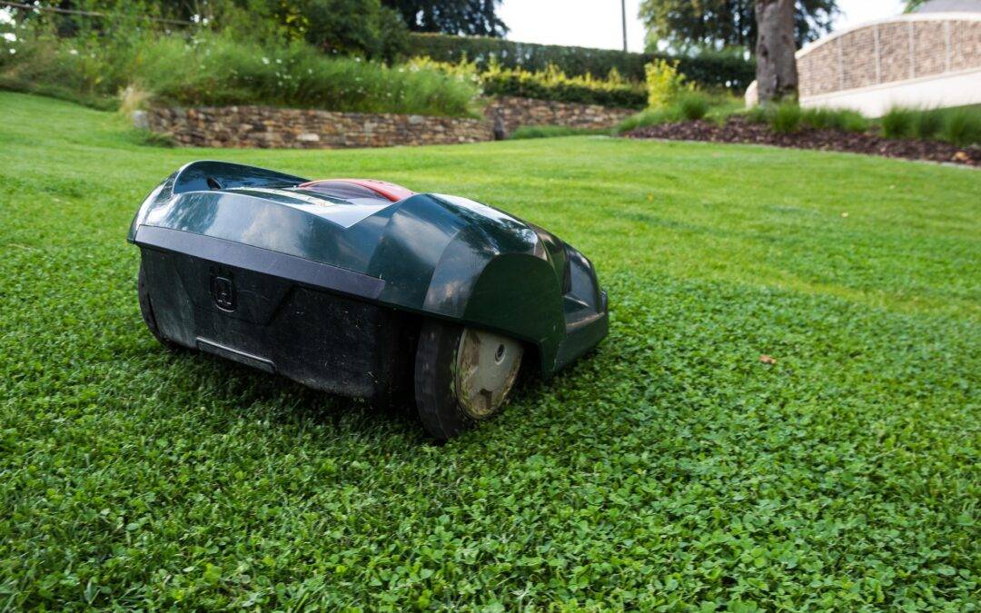 Autonomous lawn mower on a well-maintained green lawn with a stone wall and trees in the background.