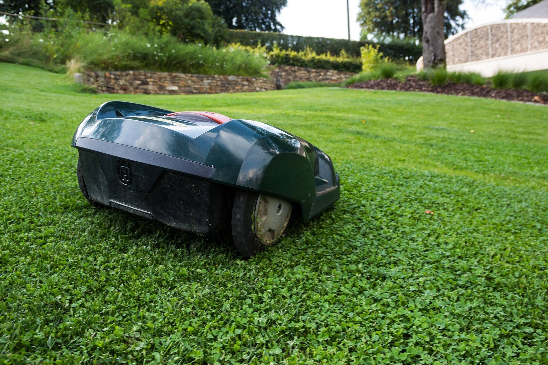 Autonomous lawn mower on a well-maintained green lawn with a stone wall and trees in the background.