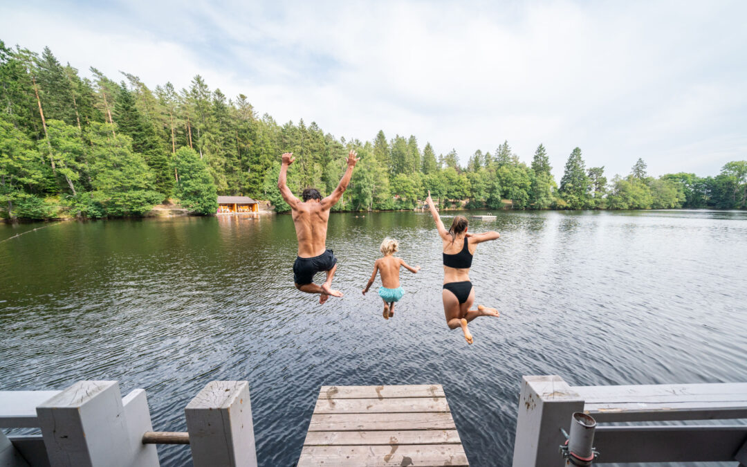 People jumping off a wooden dock into a lake as trees line the shore behind them, sunny day.
