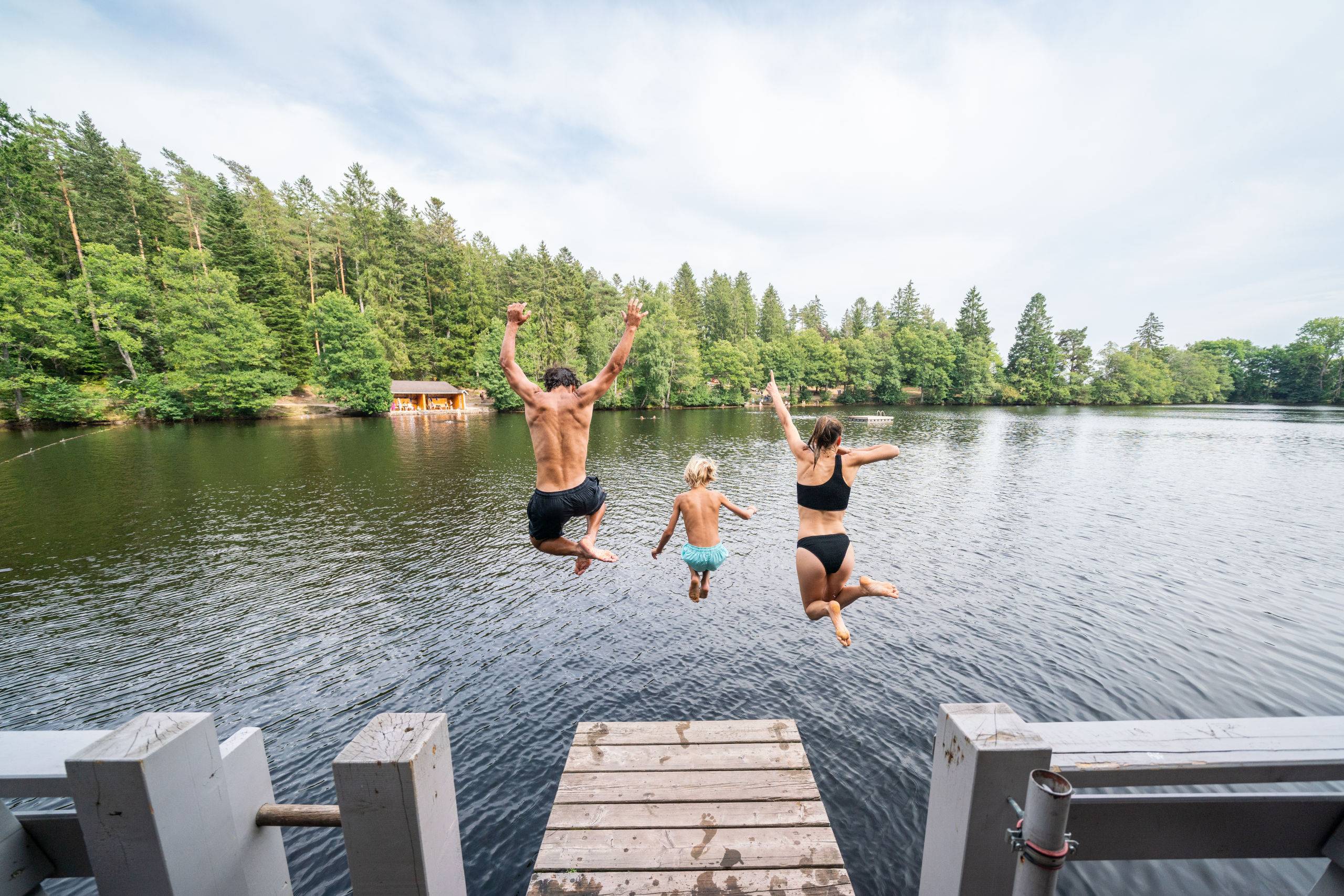 People jumping off a wooden dock into a lake as trees line the shore behind them, sunny day.