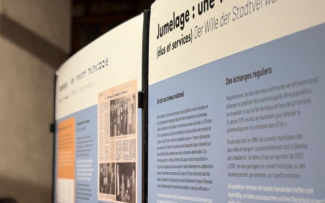 Close-up of white and blue exhibition panels with dense text about twinning (French and German) displayed in a museum setting.