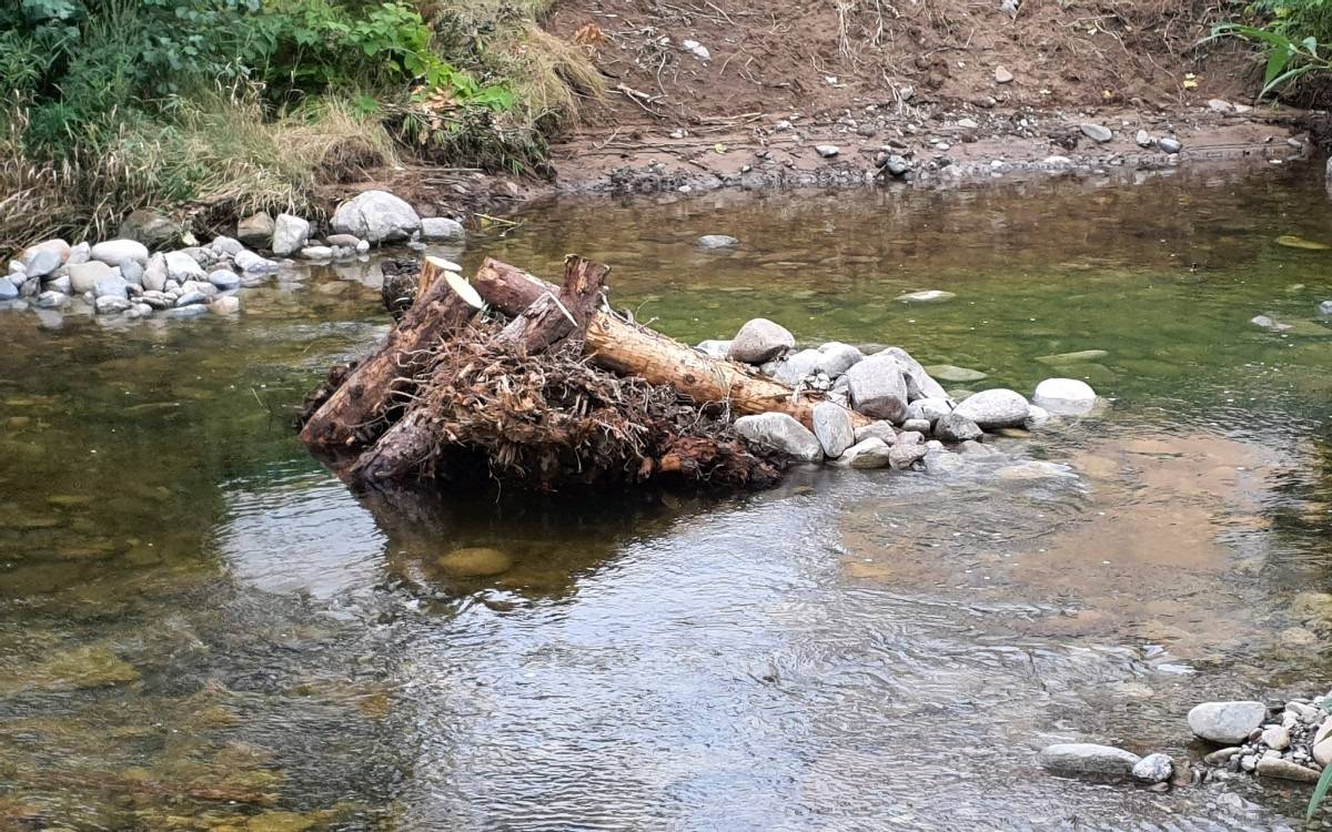 Pile of weathered driftwood and smooth stones wedged in a shallow river, with greenery and a rocky bank in the background.