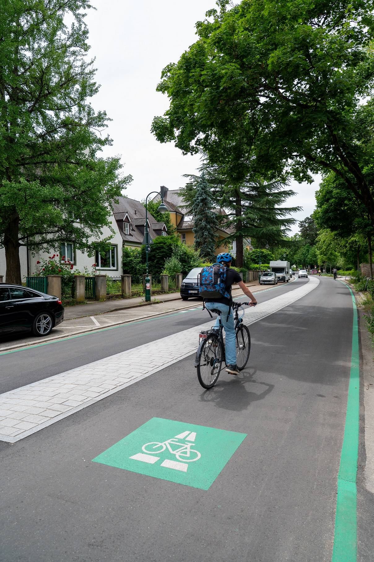 Cyclist wearing a blue helmet rides in a green bike lane on a tree-lined residential street with houses nearby.