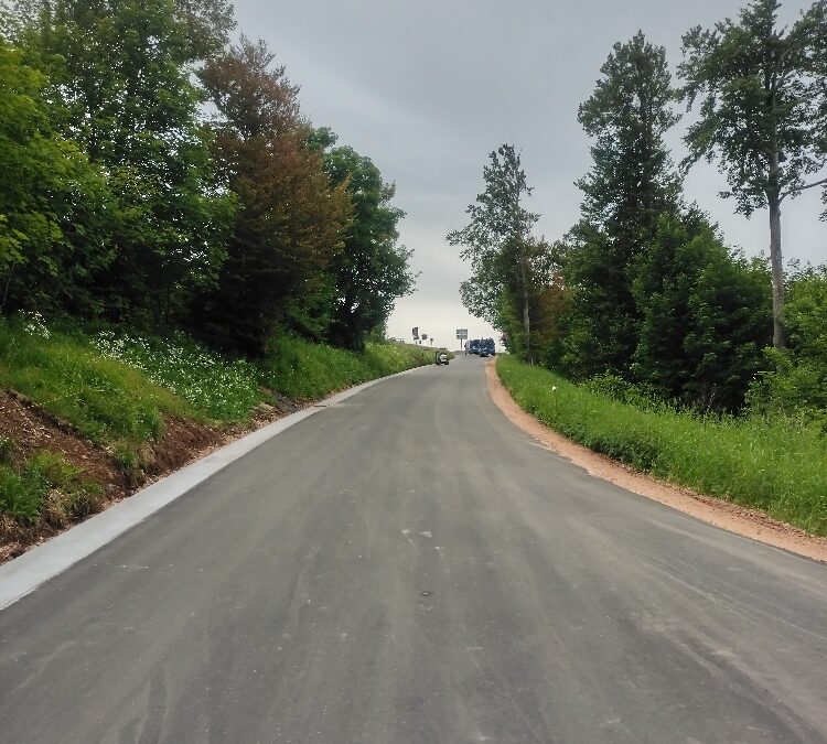 Paved rural road winding into the distance, lined with green trees and cloudy sky, with grassy shoulders on both sides.