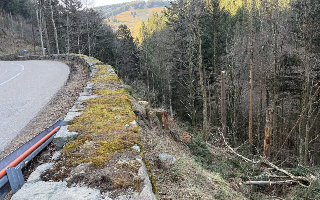 Curving road beside a moss-covered stone wall with orange pipes, overlooking a forest and sunlit distant hills.
