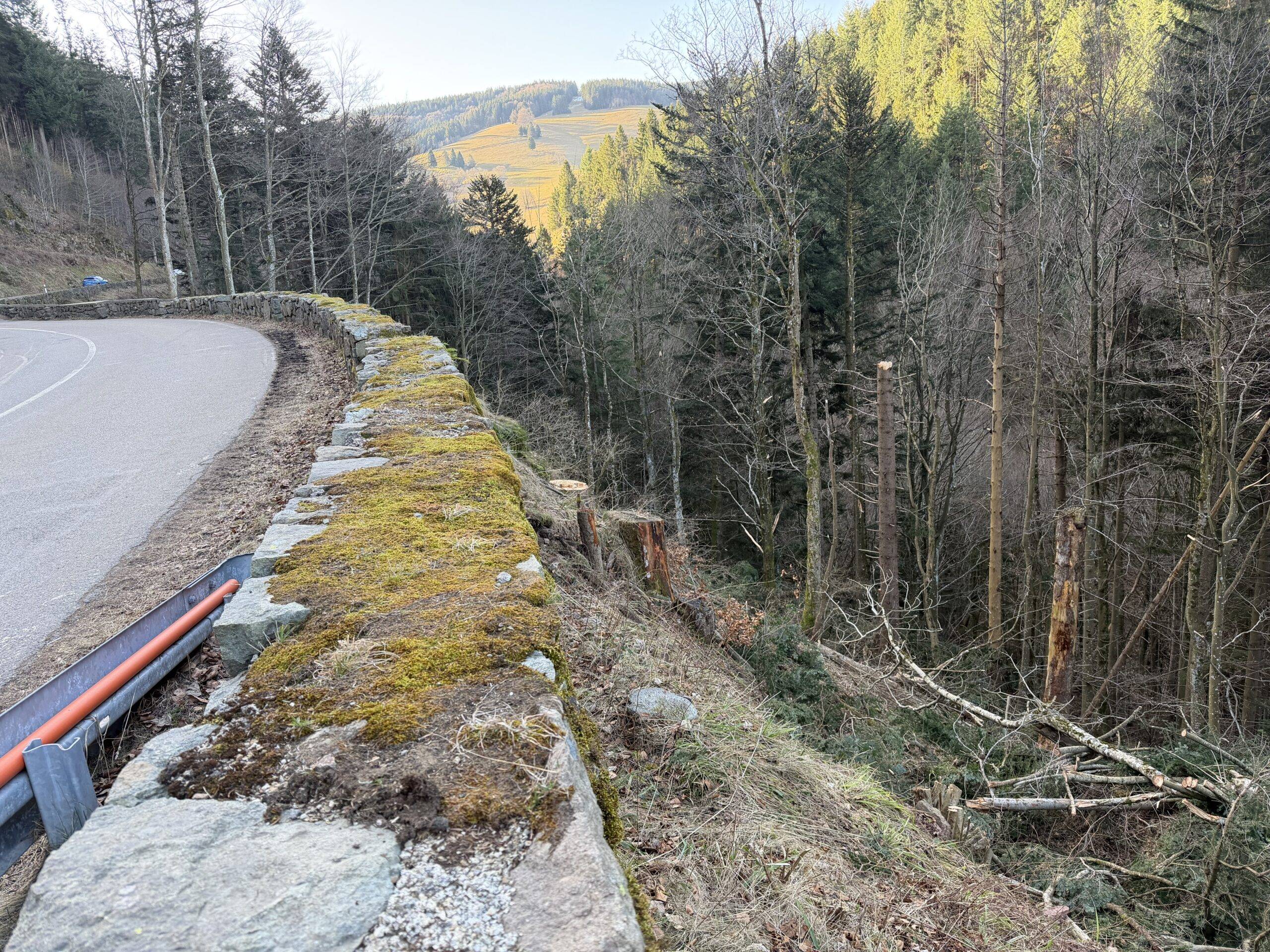 Curving road beside a moss-covered stone wall with orange pipes, overlooking a forest and sunlit distant hills.