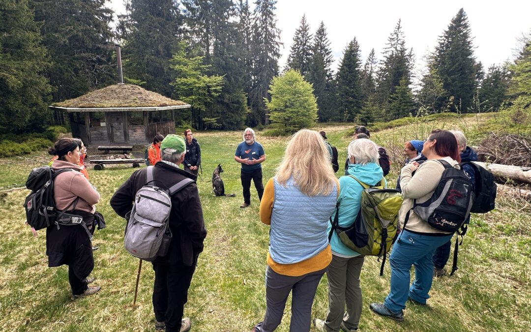 Group of hikers in a grassy clearing near a mossy-roofed wooden hut, surrounded by tall evergreen trees, listening to a speaker.