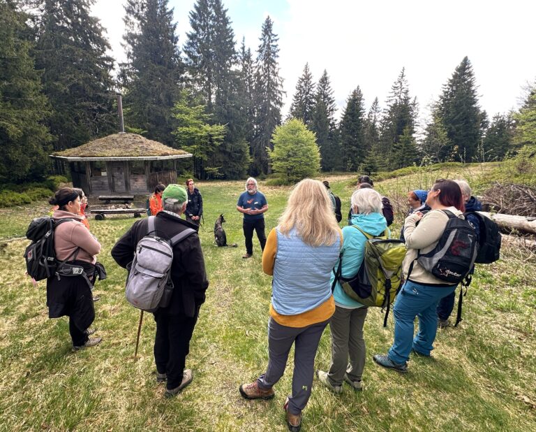 Group of hikers in a grassy clearing near a mossy-roofed wooden hut, surrounded by tall evergreen trees, listening to a speaker.