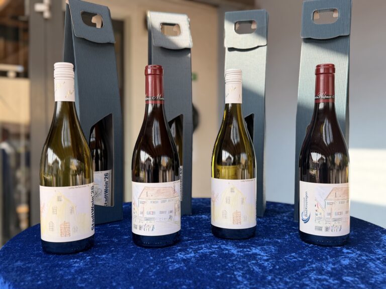 Row of wine bottles standing in blue gift-style boxes with handles and hand-drawn label wrappers on the bottles' lower portions on a blue surface.