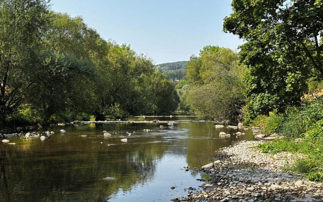 Calm river flowing through a dense green forest with rocky shorelines on both sides and a clear blue sky above