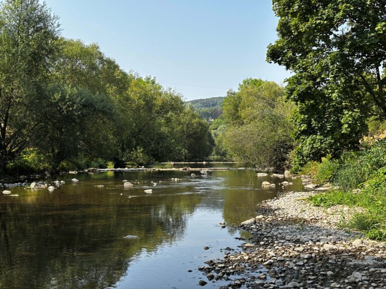 Calm river flowing through a dense green forest with rocky shorelines on both sides and a clear blue sky above