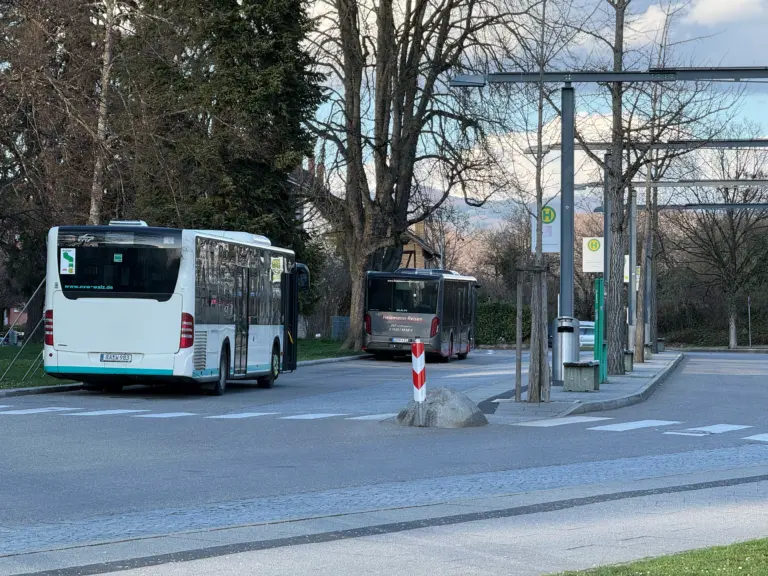 Rear view of a white bus at a bus stop, with another bus behind and leafless trees in the background.
