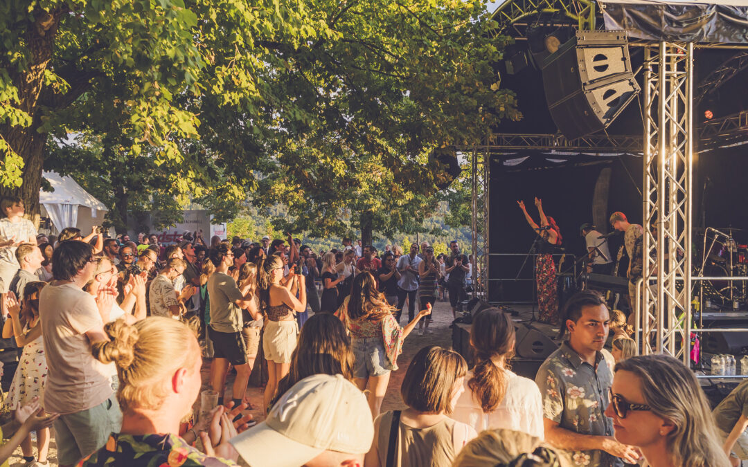 Outdoor concert with a crowded audience watching performers on a stage under leafy trees during daylight.