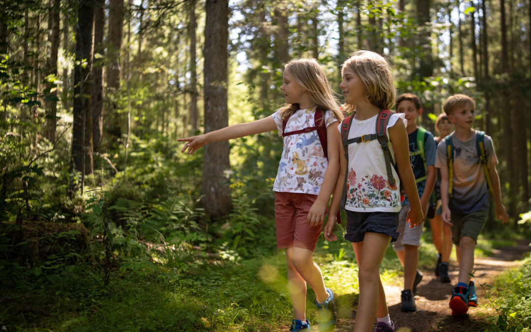Group of children hiking along a sunlit forest trail with backpacks.
