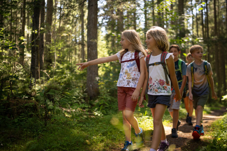 Group of children hiking along a sunlit forest trail with backpacks.