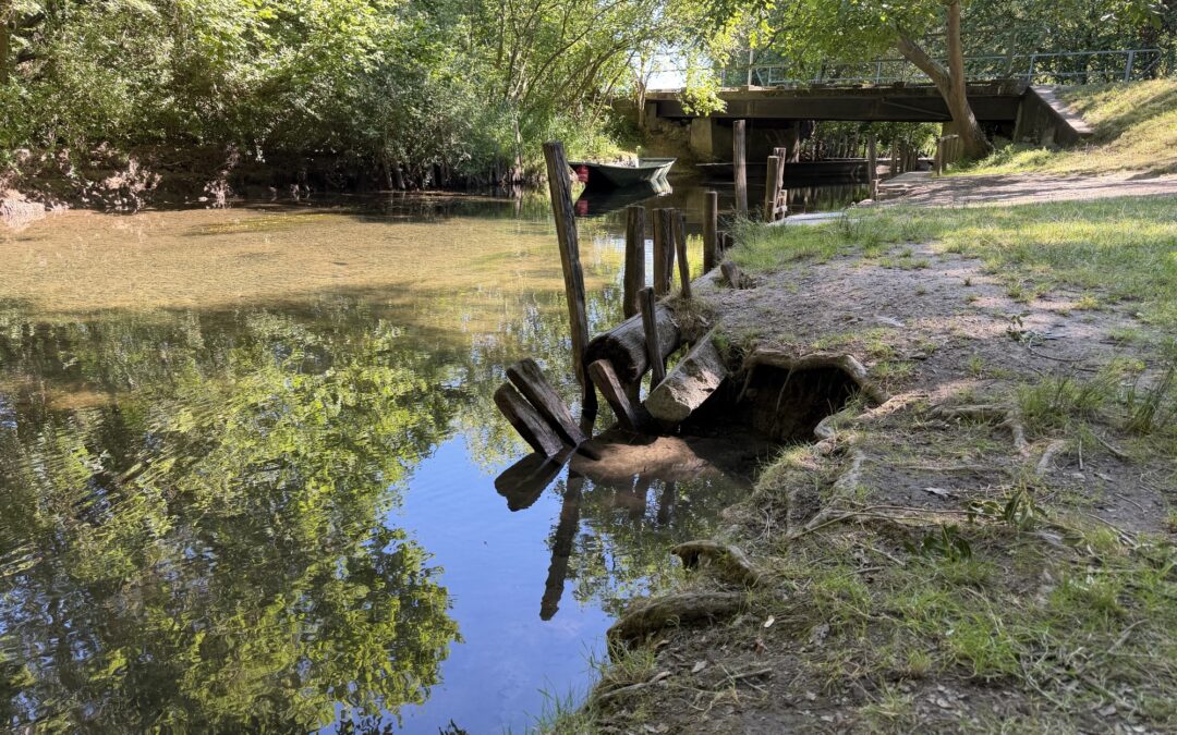 Riverside scene with calm water, reflections of trees, a weathered wooden fence along the shore, and a bridge in the background.