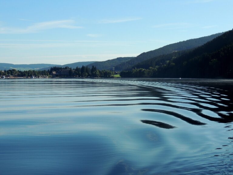 Calm lake with gentle ripples reflecting a blue sky, forested hills, and a small lakeside town on the left.