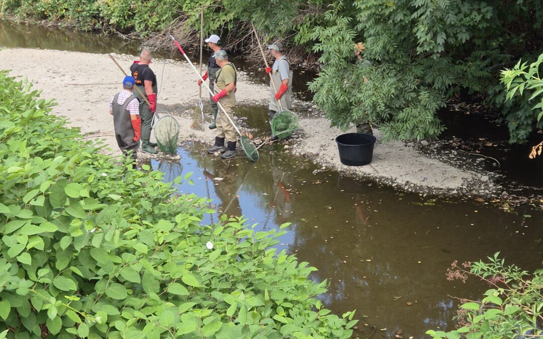 Group of five people fishing in a shallow river with nets and buckets, surrounded by dense green bushes and trees.