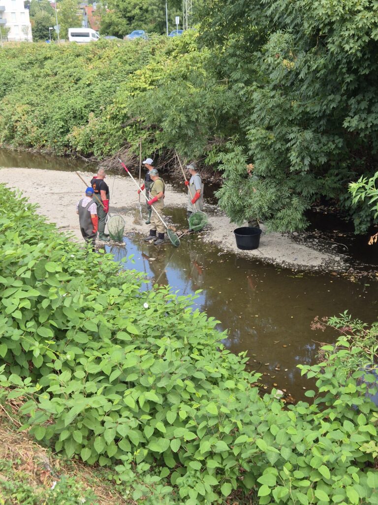 Group of five people fishing in a shallow river with nets and buckets, surrounded by dense green bushes and trees.