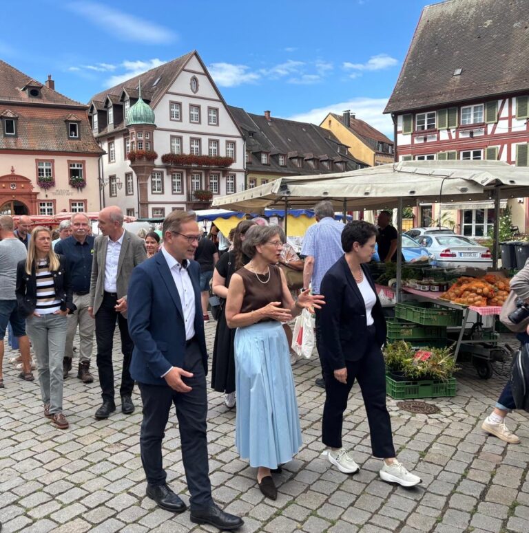 Group of adults walking through a European town square with market stalls and historic timber-framed buildings in the background.