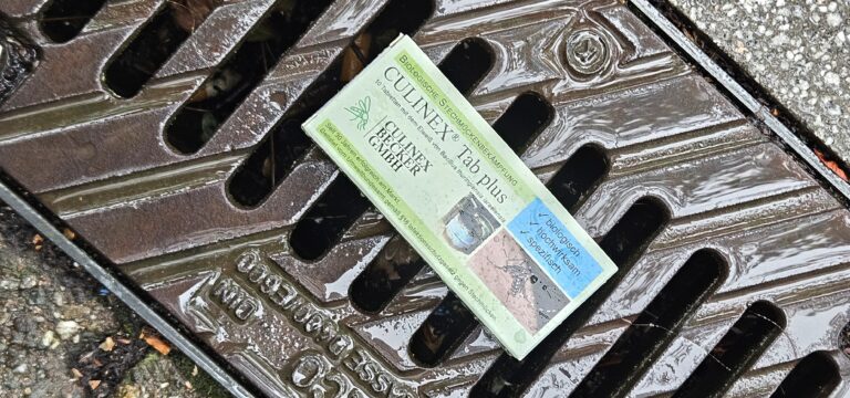 Weil am Rhein: Tigermücken jetzt in der Hauptsaison bekämpfen