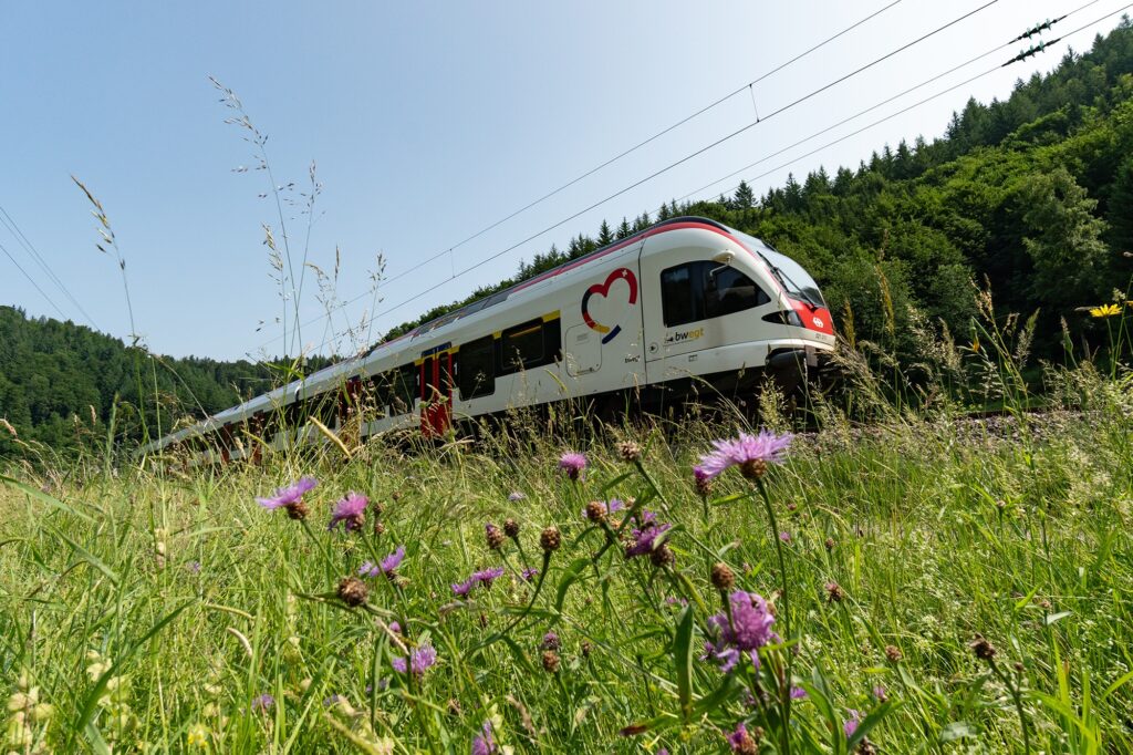 Biosphärengebiet Schwarzwald: 61 Ideen für bessere Mobilität