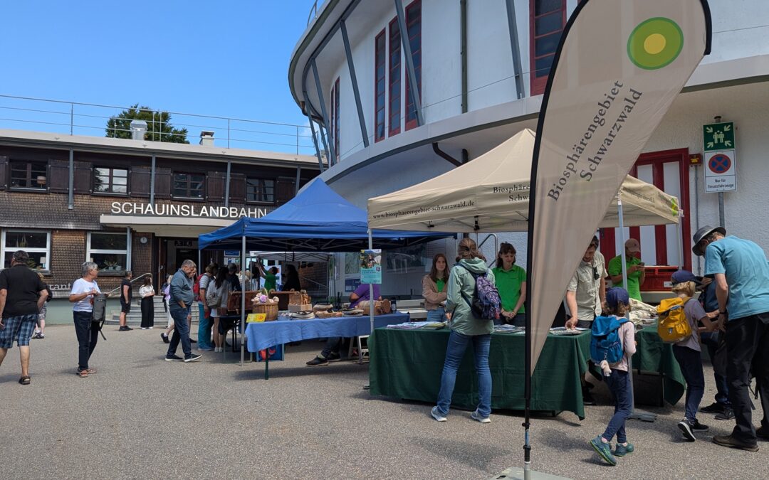 Outdoor market scene with blue tents, tables of goods, and people shopping in front of a building under a clear blue sky