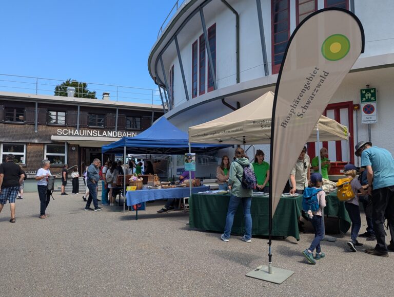 Outdoor market scene with blue tents, tables of goods, and people shopping in front of a building under a clear blue sky
