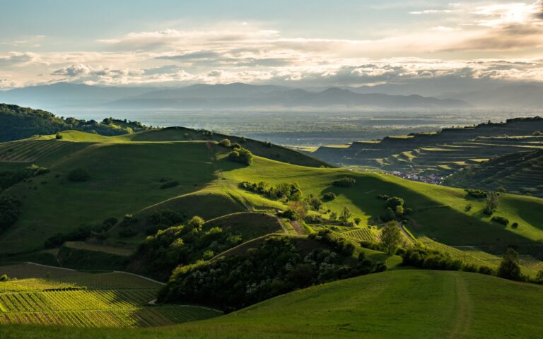 Rolling green hills with vineyard terraces in the foreground, a valley below, and hazy mountains on the horizon under a partly cloudy sky.